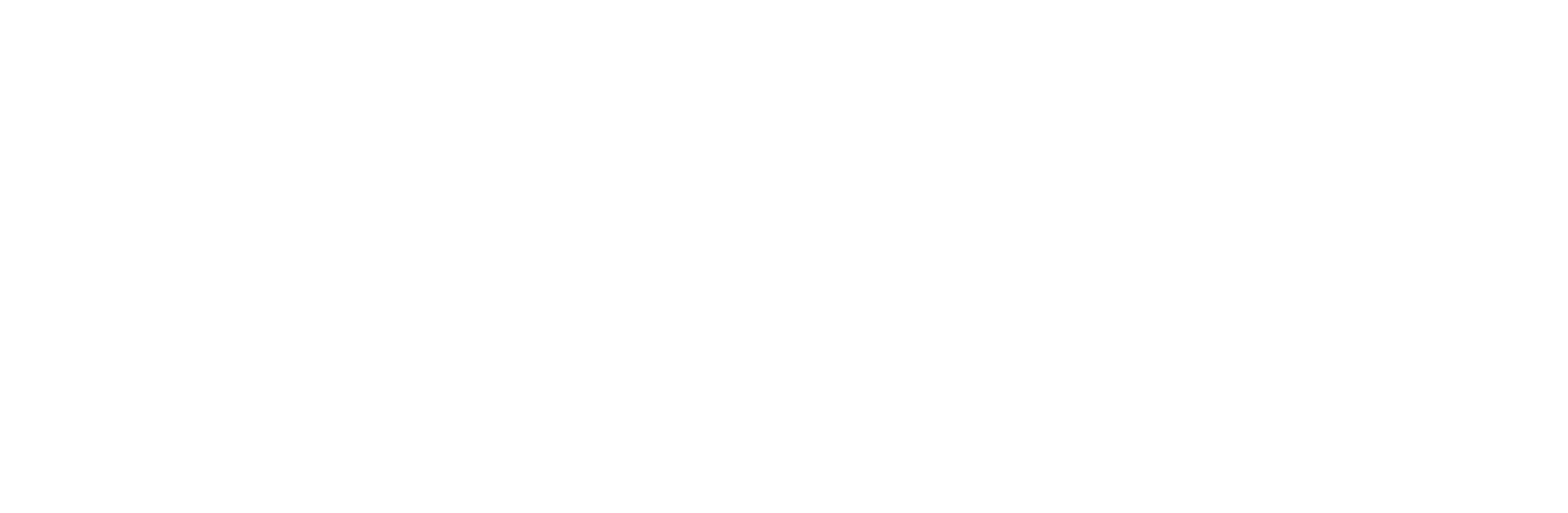 placetshirt logo